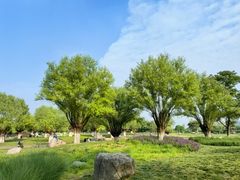 -汉长安城未央宫国家考古遗址公园