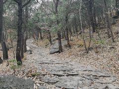 -阳台山自然风景区