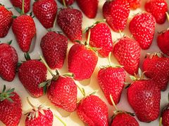 -南坛综合农贸市场