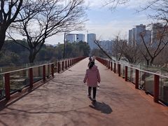 -青枫公园