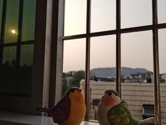 -六个番茄自习室·包间(燕塘燕侨大厦店)