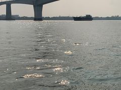 -八仔大富楼·河鲜(西江店)