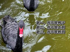 -昆明动物园