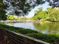 -小鲤鱼寻宝记·AR亲子户外剧本闯关(广州东山湖公园店)