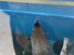 -厦门海底世界