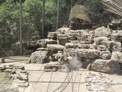 -小脚丫幼儿园(西二旗东一路校区)