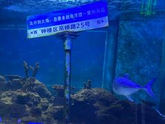 -常州海昌海洋探索馆
