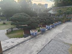 -水绘园