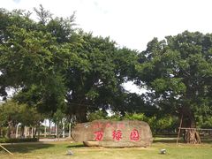 -万绿园