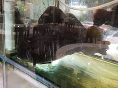 -青竹园海鲜餐厅(海天路店)