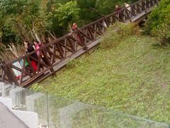 -大亚湾红树林城市湿地公园