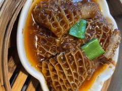 -点都德·毕德寮