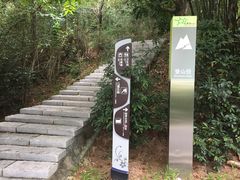 -广东花都湖国家湿地公园