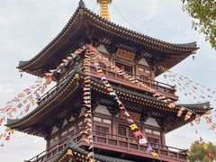 -庐山风景名胜区-东林大佛