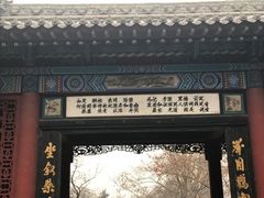 -大槐树寻根祭祖园