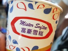 -富豪雪糕车流动点(尖沙咀店)