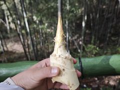 -石台牯牛降景区