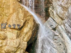 -牛背梁国家森林公园