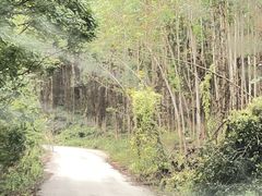 -扬美古镇景区