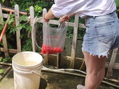 -秀丽东方