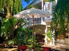 -Fern Forest Cafe