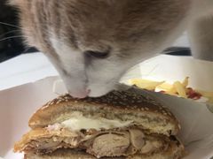 -肯德基(友好店)