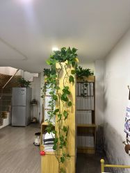 -纤济美·减重塑形
