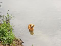 -东郊湿地公园