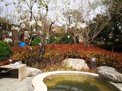 -思念果岭悦温泉