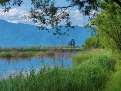 -野鸭湖国家湿地公园