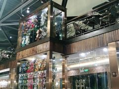 -more than meow吴止猫主题餐厅(承德 中船汇店)