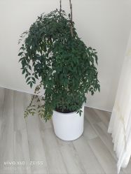 -HEYAN荷妍专业脱毛连锁机构