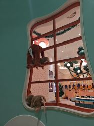 -奈尔宝家庭中心·亲子餐厅(苏州大悦城店)