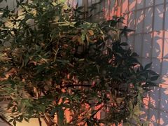 -南笙•新瘾私享日式SPA