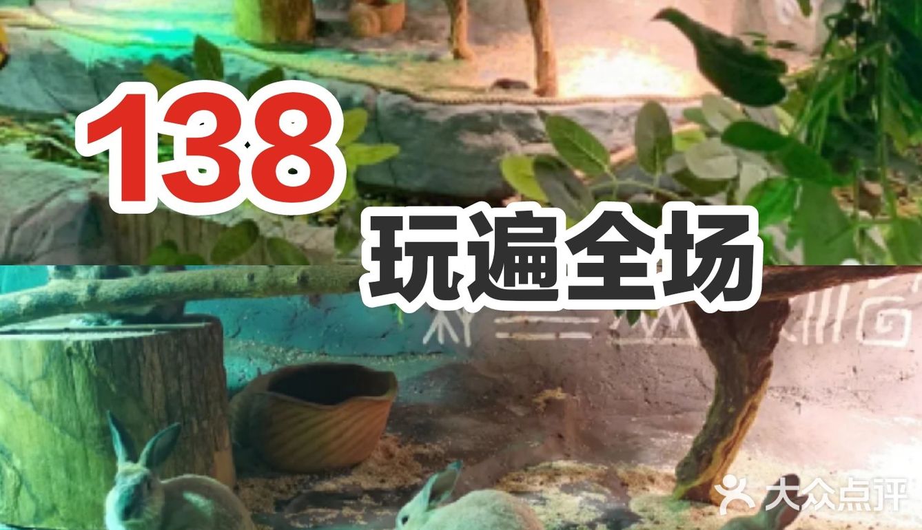 超可爱萌宠互动仅需138元