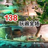 超可爱萌宠互动仅需138元