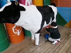 -太阳岛度假酒店