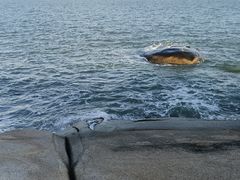 -椰风寨