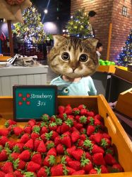 -幻贝家儿童乐园(苏州中心店)