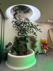 -卡尔诗·科技美肤连锁