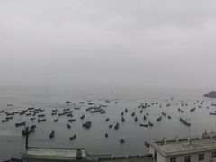 -枸杞岛