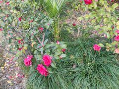 -苏州河梦清园环保主题公园