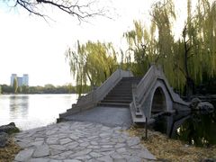-紫竹院公园冰场