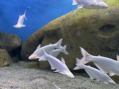 -蓬莱欧乐堡海洋极地世界