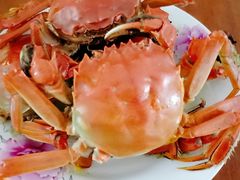 -七的湖·晚芳亭·阳澄湖农家菜·大闸蟹(莲花岛店)