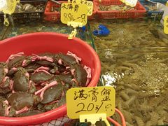 -厦门轮渡码头