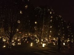 -大雁塔北广场音乐喷泉