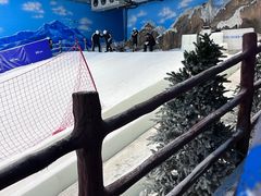 -世界之窗阿尔卑斯冰雪世界