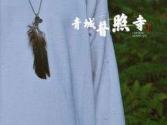 -都江堰普照寺