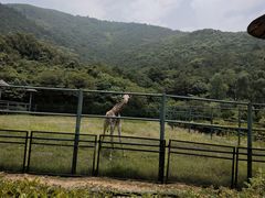 -无锡动物园·太湖欢乐园